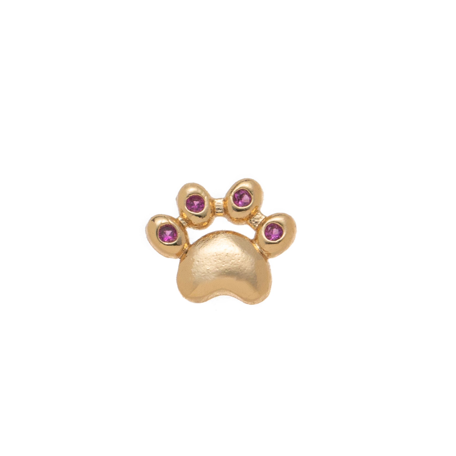 Cat Paw - JRY-NL00019