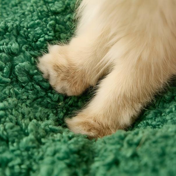 Cozy Christmas Tree Cat Bed