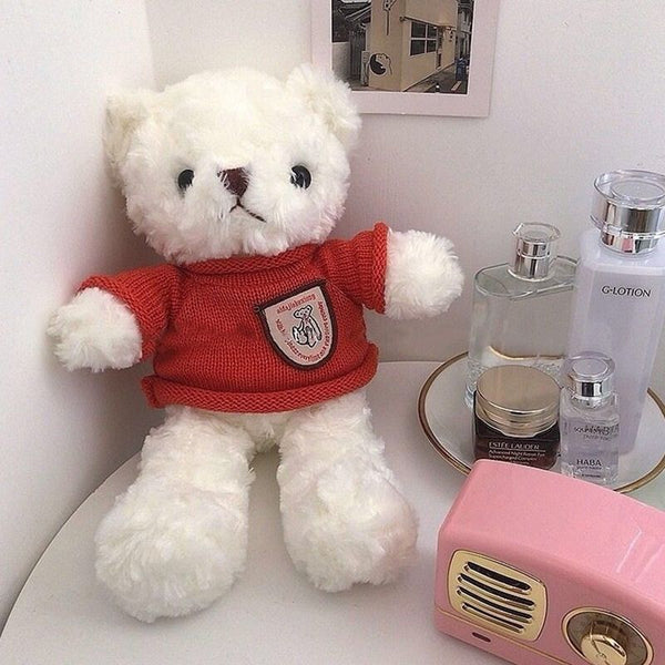 Soft Fluffy Teddy Bear